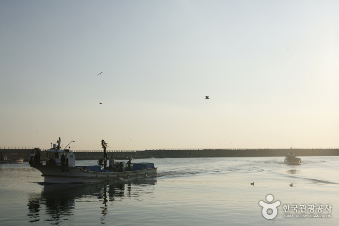 강원평화누리길 18코스 고성 거진명태고향길