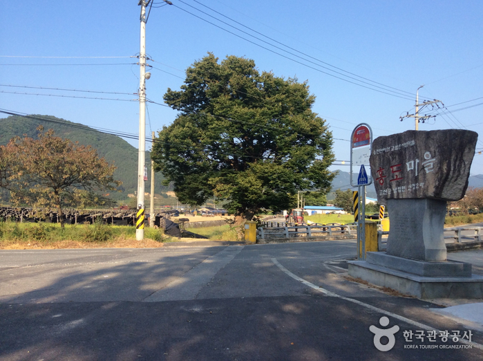 충남 금산 약초 인삼 쇼핑코스 충남 금산 약초 인삼 쇼핑코스