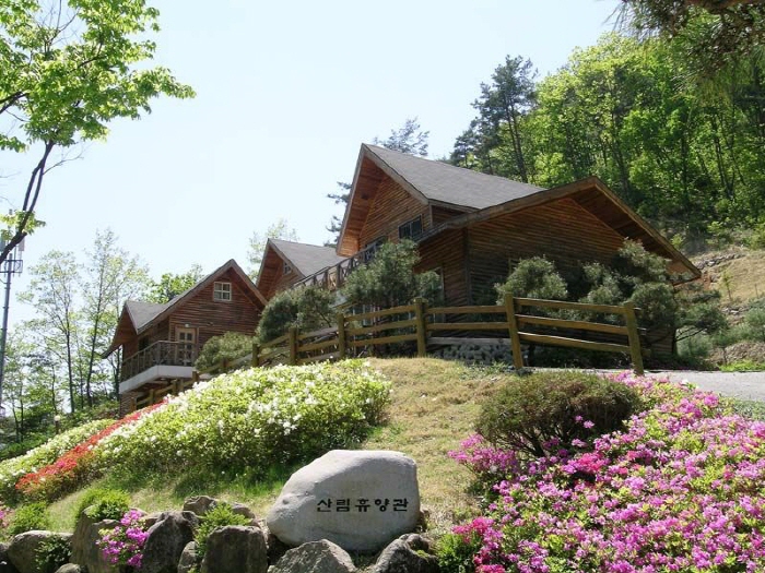 안동계명산자연휴양림