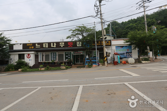 느티나무횟집