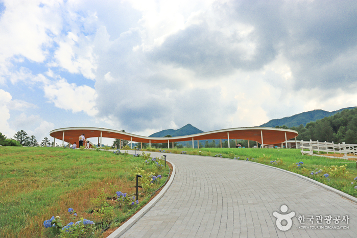 가평양떼목장카페