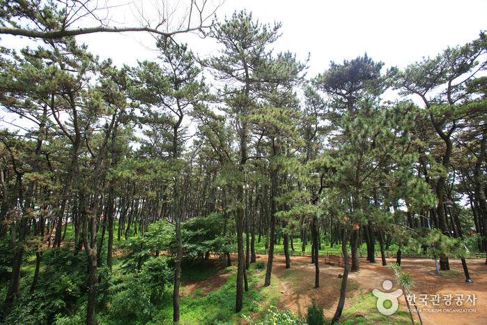 울산 12경