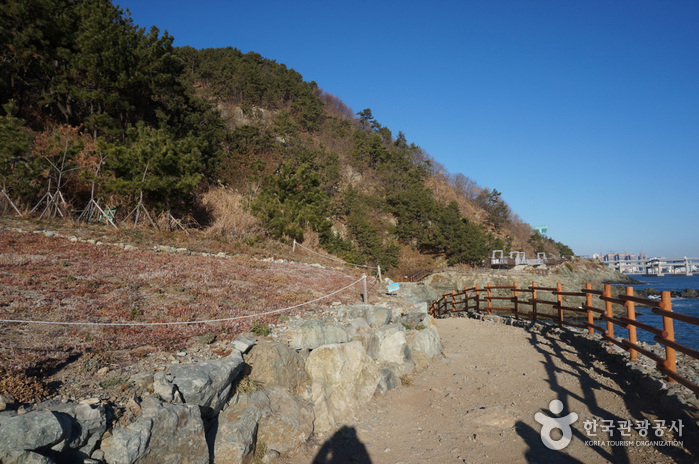 [부산 갈맷길 2코스] 2구간 민락교~오륙도
