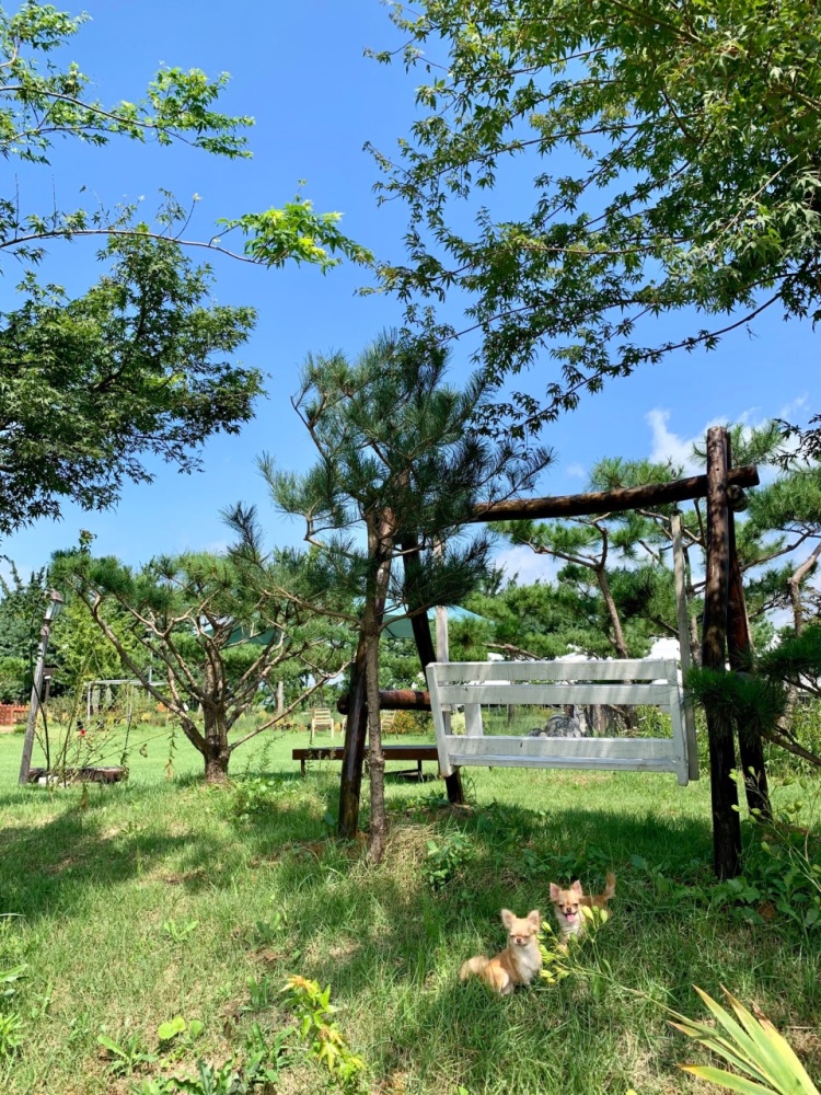 할아버지동물농장