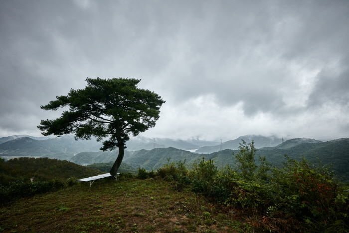 신광수 다원 신광수 다원