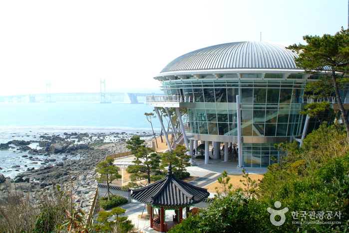 해운대를 지나 문탠로드를 걷다