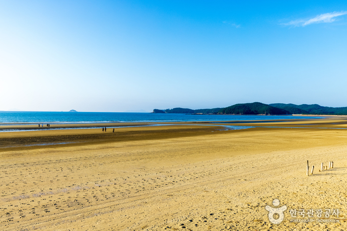 신두사구쉼터공원(신두사구생태공원)
