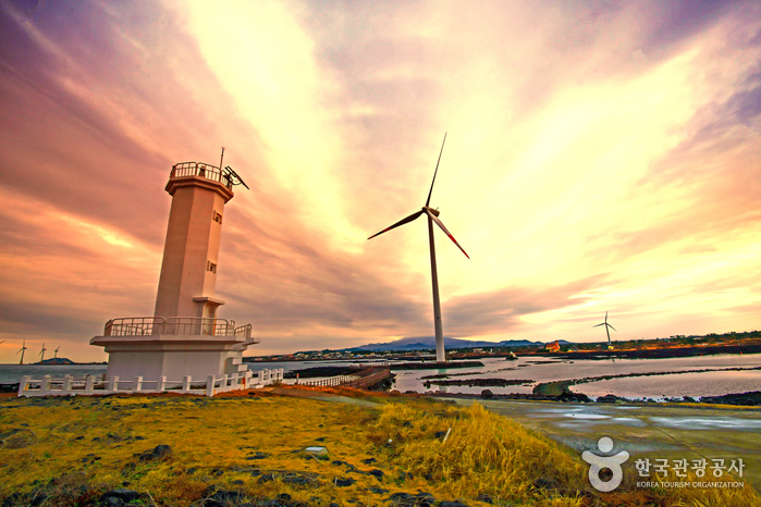 신창풍차해안도로