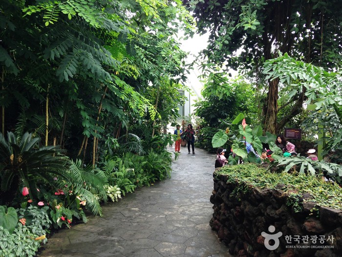 기차 타고 만나는 세계 5대 기후대