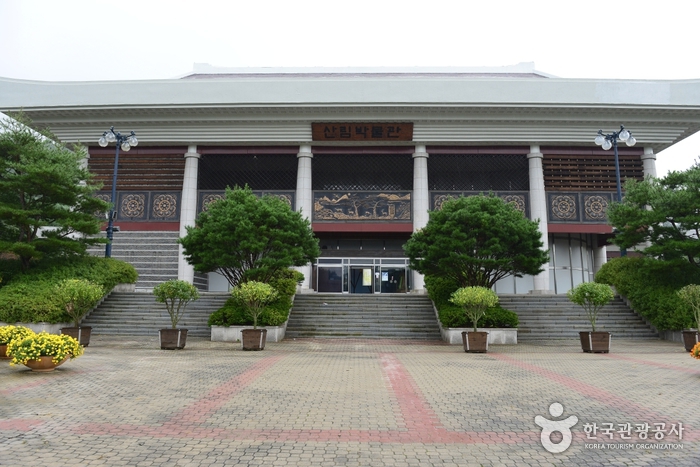 충청남도 산림박물관 충청남도 산림박물관