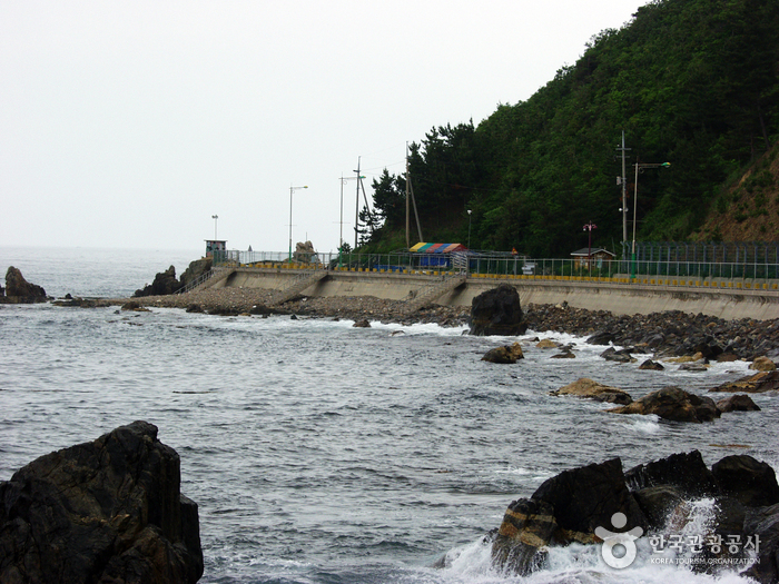 거진11리해변
