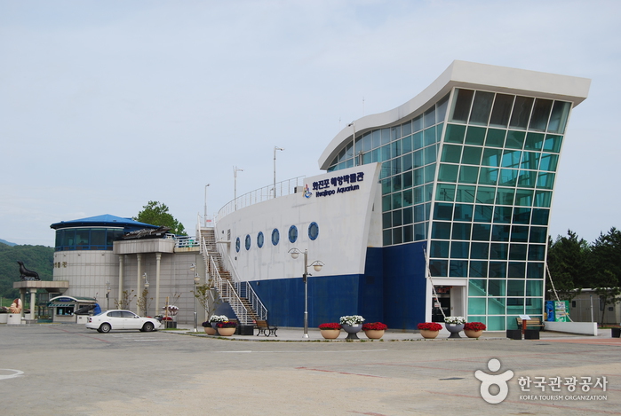 (고성) 화진포의 수려한 풍광 속으로, 자전거 여행