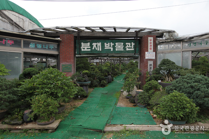분재박물관
