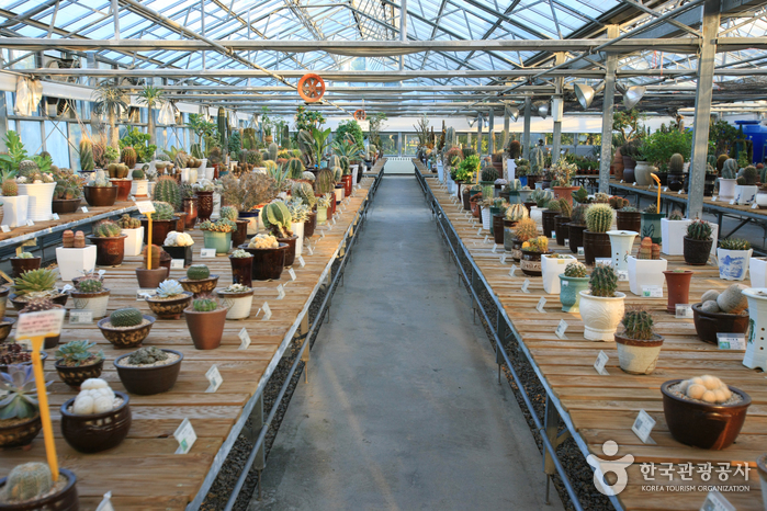 꽃, 그리고 물속 생물들과 함께 조용한 사색을...