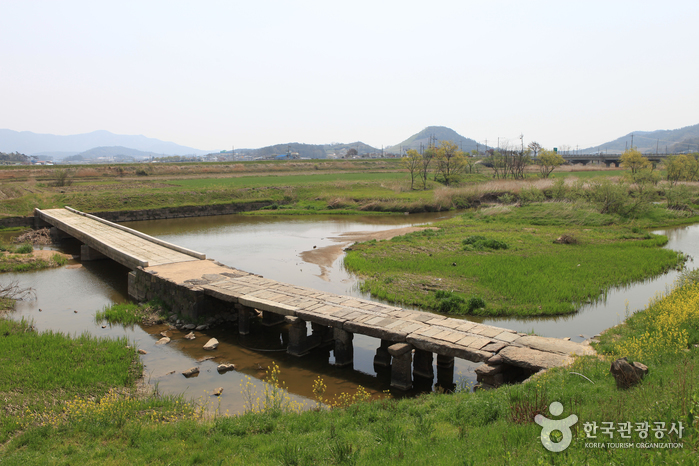 함평 고막천 석교 함평 고막천 석교
