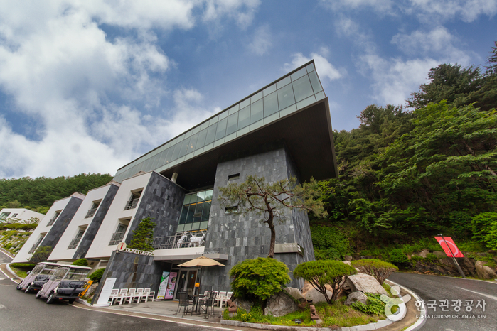 이상원미술관 이상원미술관