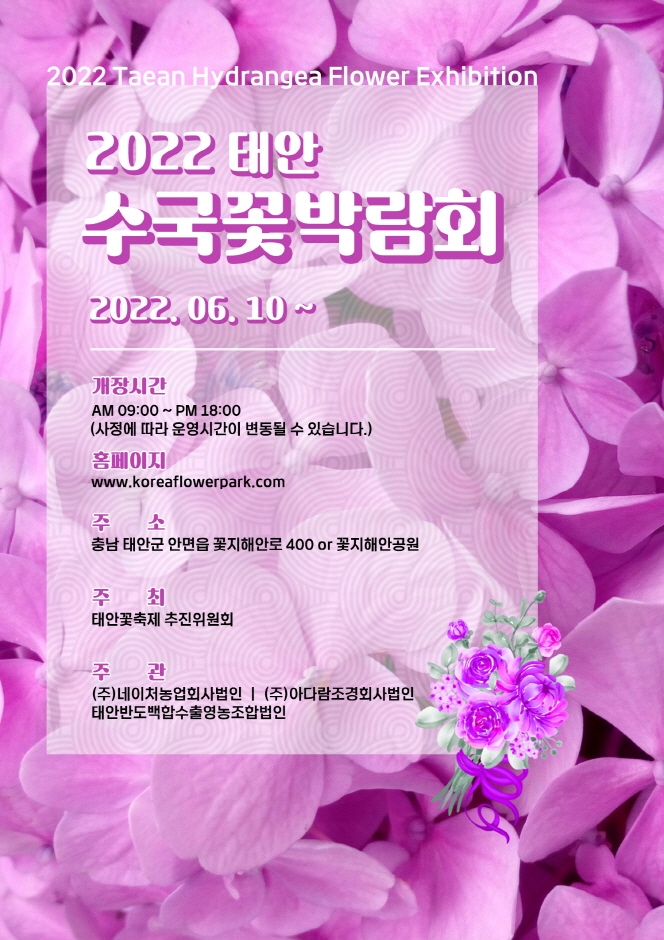 2022 태안 수국꽃박람회