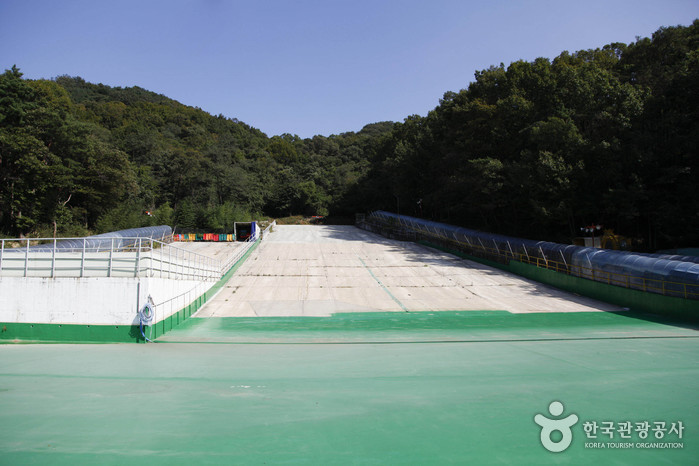 금오랜드 눈썰매장 금오랜드 눈썰매장