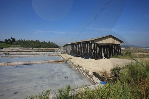 신안 비금도 대동염전
