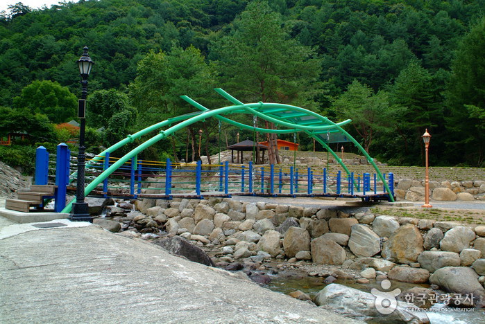 단양 다리안관광지