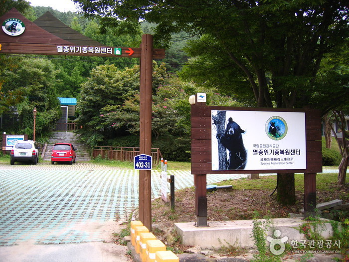 국립공원공단 종복원기술원 국립공원공단 종복원기술원