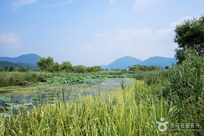 남양주의 유네스코 세계유산지 산책
