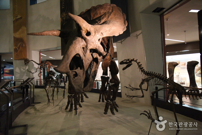 목포자연사박물관