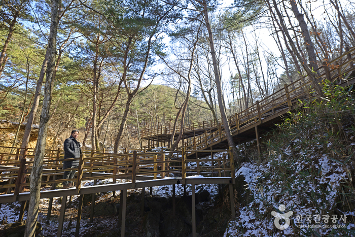늘해랑누리길 (치유의숲)