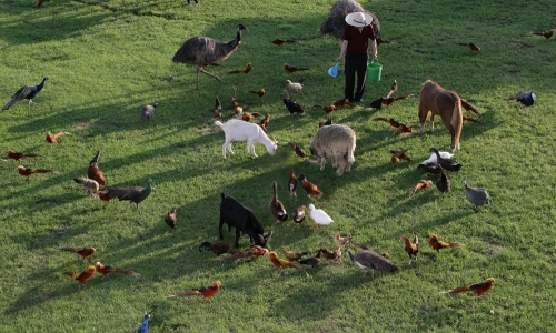 일산 동물의 왕국