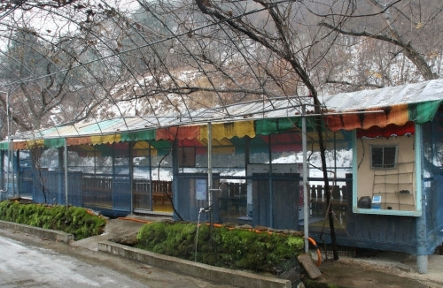 밤나무집 밤나무집