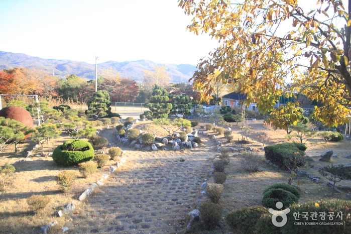 심은미술관
