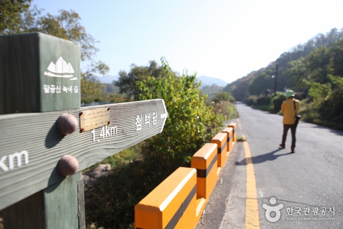 [대구올레 팔공산 4코스] 평광동 왕건길