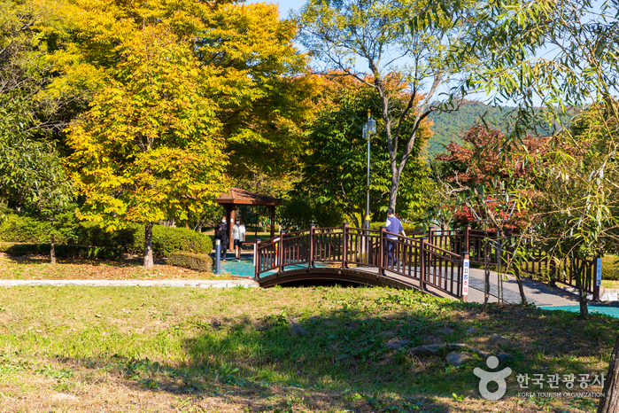 신정호생활체육공원(신정호공원)