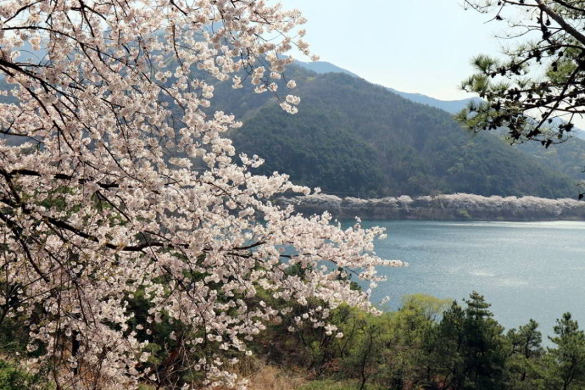 안태공원