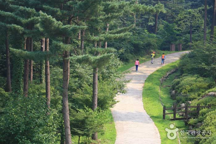 가평 잣향기푸른숲