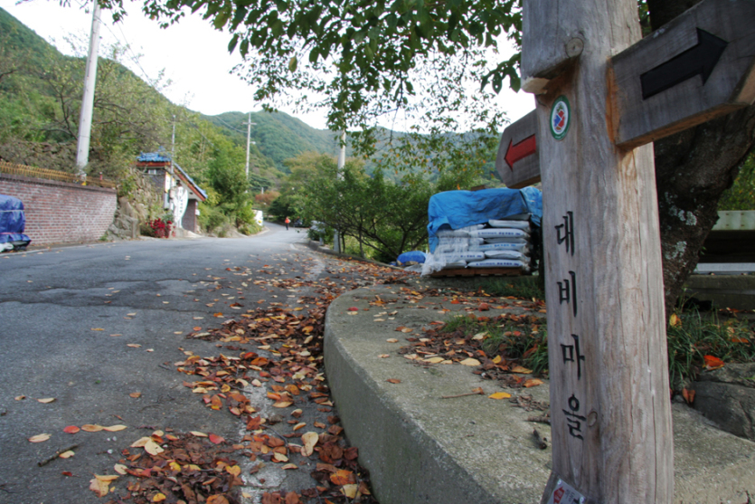 대비마을