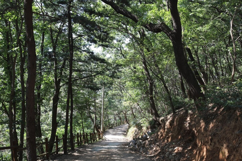[군산 구불길] 구불3길 큰들길