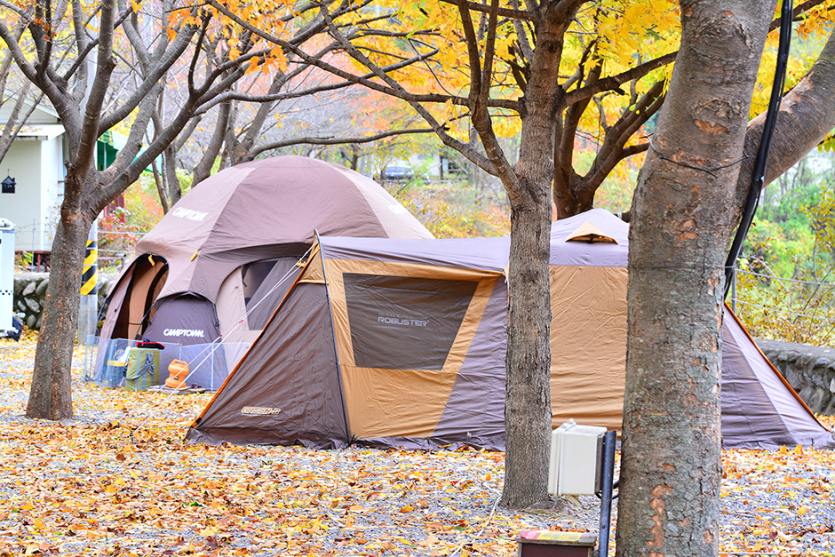 개울가오토캠핑장