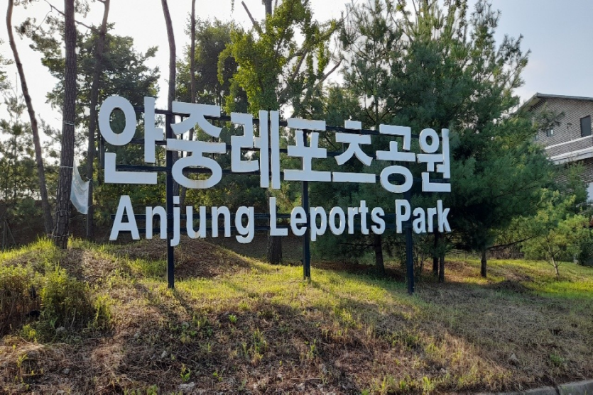 안중레포츠공원