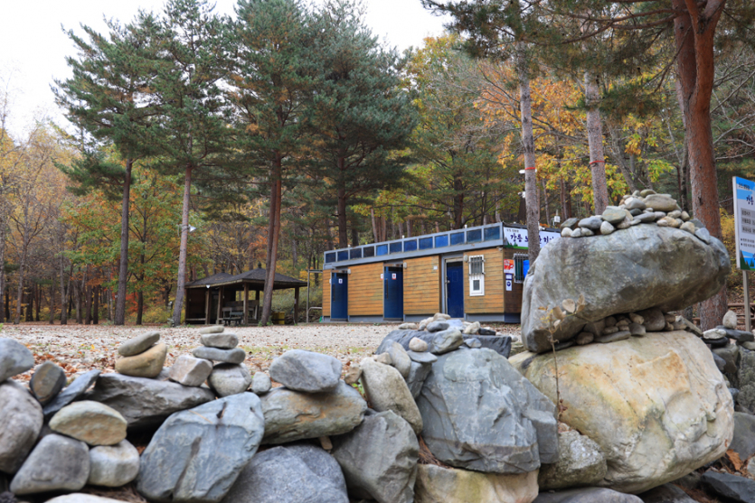 강릉 노추산힐링캠프