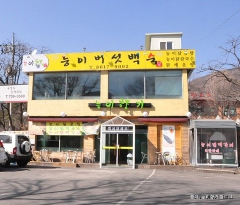 능이향기