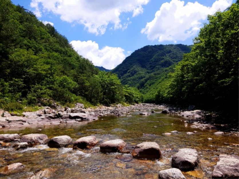 강원평화누리길 10코스 양구 두타연길