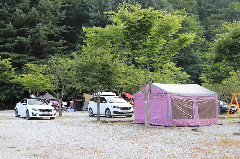 강원도힐링캠핑장