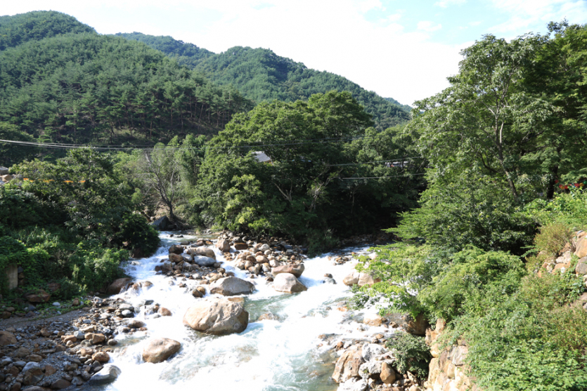 내원사계곡
