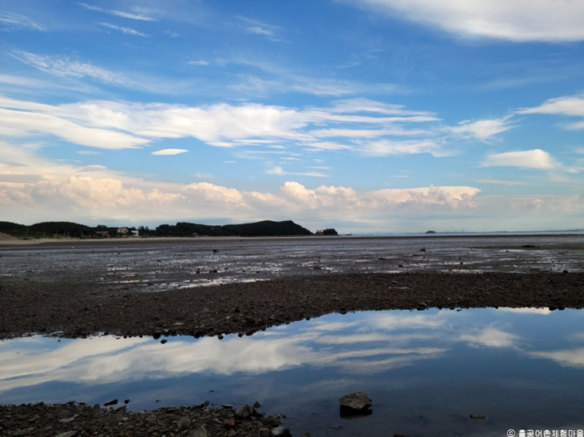 대부도 흘곶 어촌체험 마을