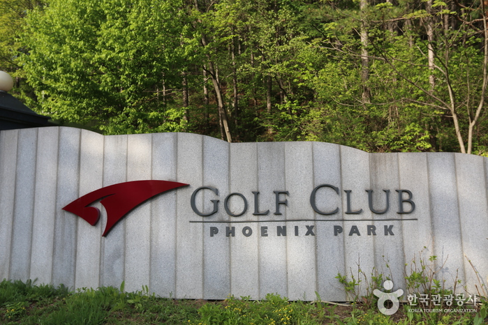 Phoenix Country Club (휘닉스 컨트리클럽)