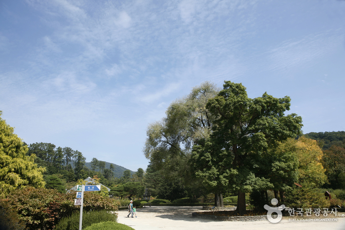 Arboreto Nacional (Bosque Gwangneung) (국립수목원(광릉숲)) Arboreto Nacional (Bosque Gwangneung) (국립수목원(광릉숲))