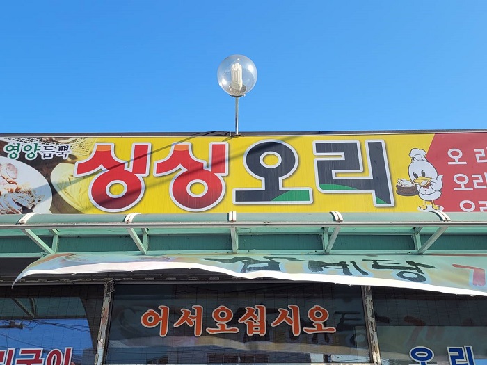 Singsing Ori (싱싱오리)