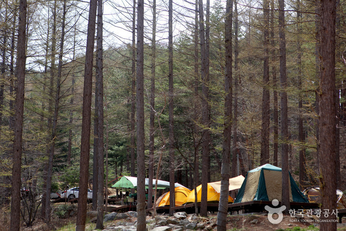 Bosque Recreativo Nacional del Monte Cheongoksan (국립 청옥산자연휴양림) Bosque Recreativo Nacional del Monte Cheongoksan (국립 청옥산자연휴양림)
