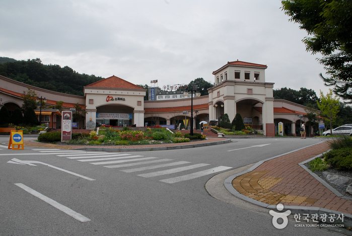 Asan Spavis (아산스파비스) Asan Spavis (아산스파비스)